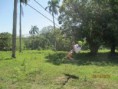 /album/fotok4/country-world-02-jpg/