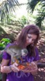 /album/fotok/monky-jungle-11-jpg/